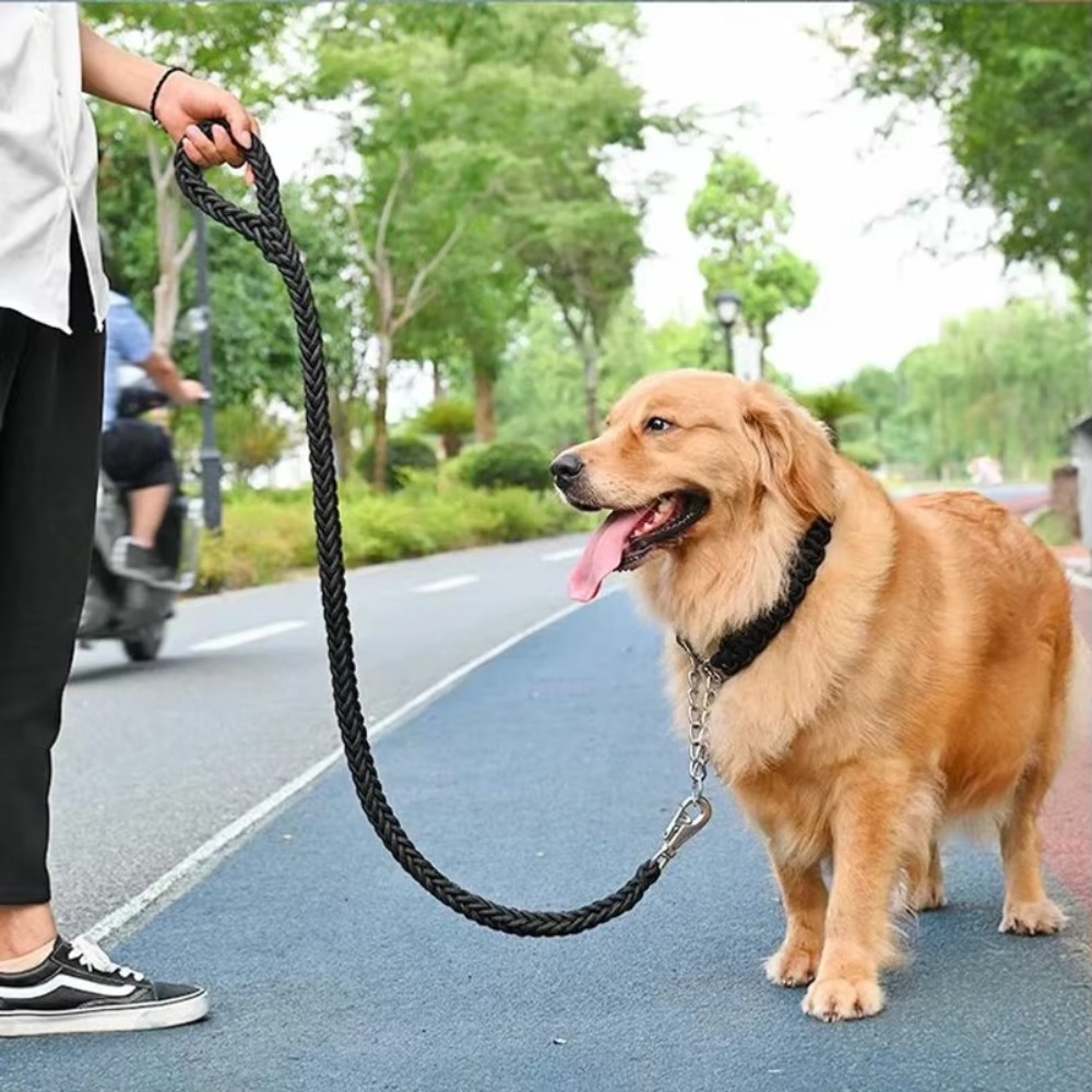 สายจูงสุนัขขนาดใหญ่แบบทนทาน สา - Hunting Dog Outdoor บทวิจารณ์และราคา