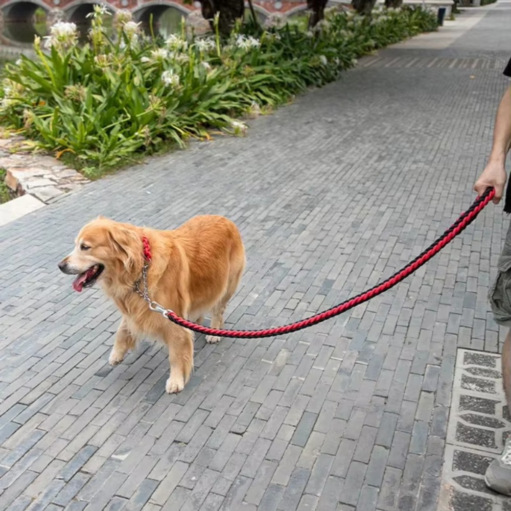 สายจูงสุนัขขนาดใหญ่แบบทนทาน สา - Hunting Dog Outdoor บทวิจารณ์และราคา